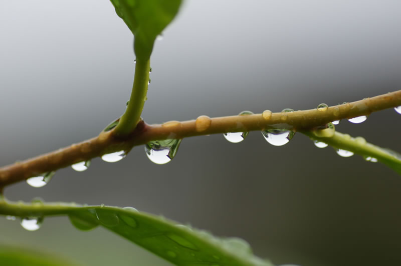 水滴
